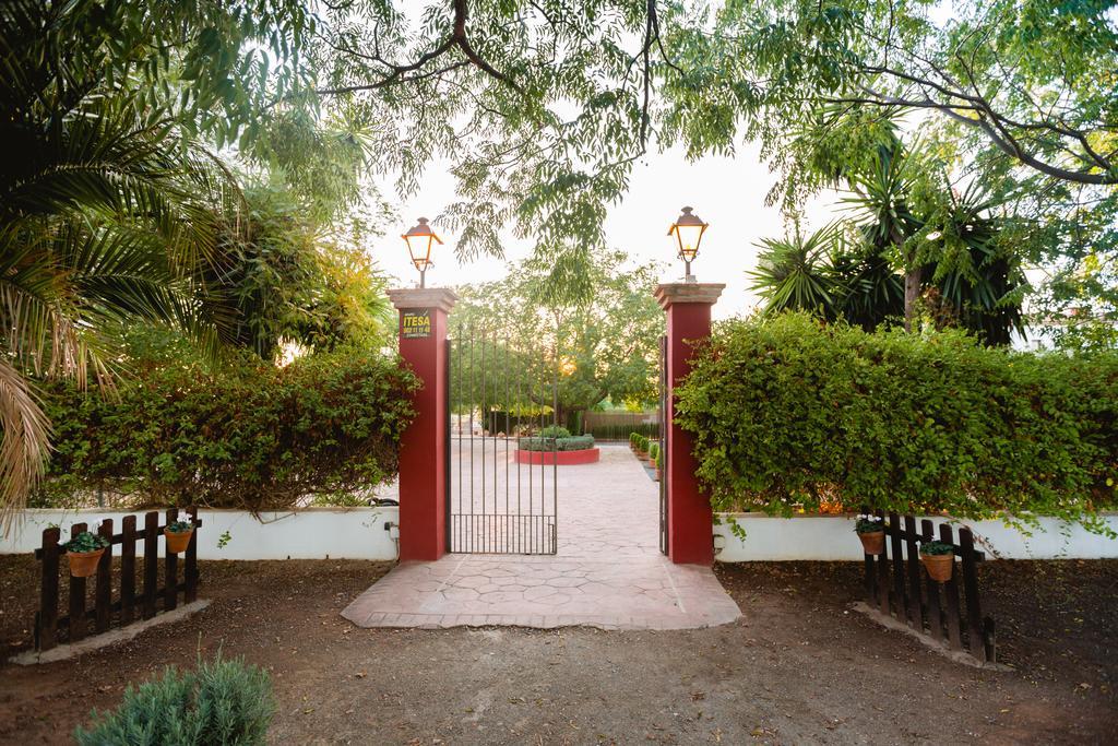 Cortijo Carrillo Bed & Breakfast Cartaojal Luaran gambar